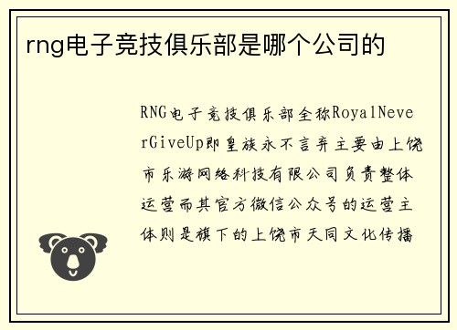 rng电子竞技俱乐部是哪个公司的